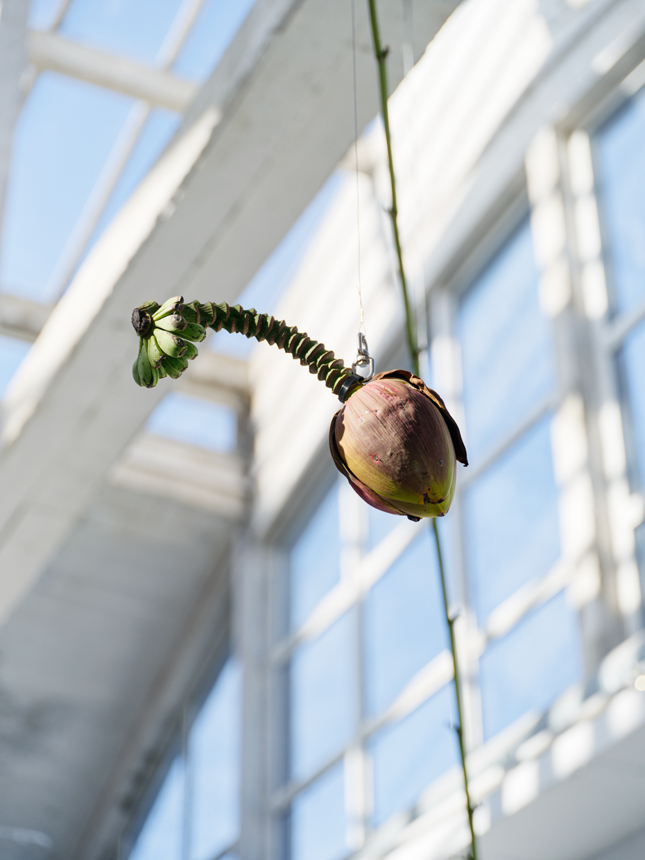 Jérémie Paul, Écume de mère, détail, mobile, teinture sur soie, bambou, fleur de bananier