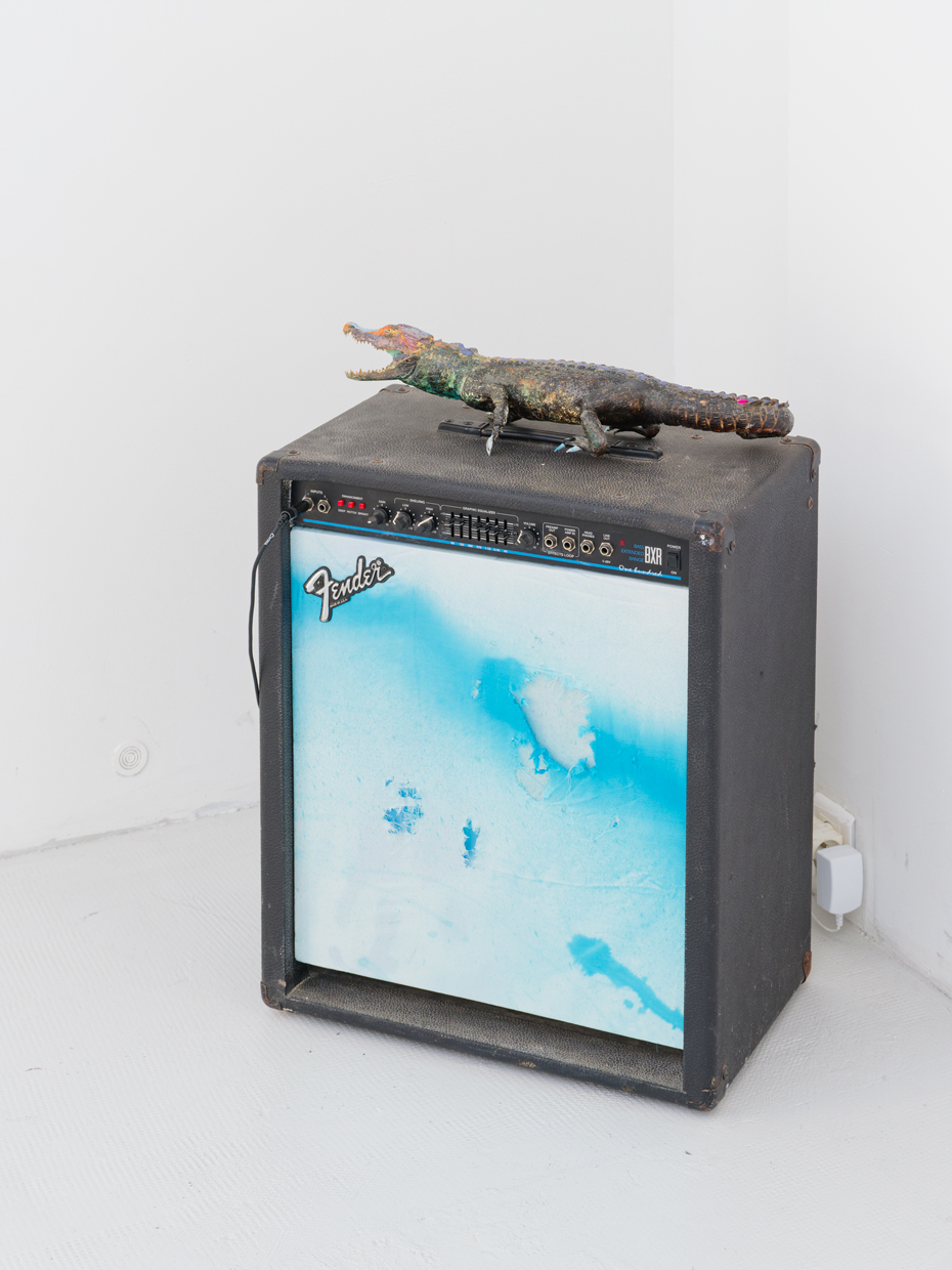 Jérémie Paul, Eaux troubles : réfractions des Caraïbes, bass fender, Installation sonore, 2025